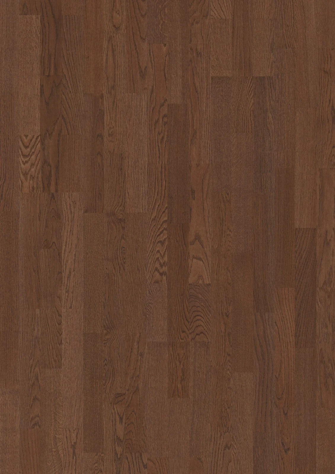 Oak Oregon Andante, 14mm 3-Strip