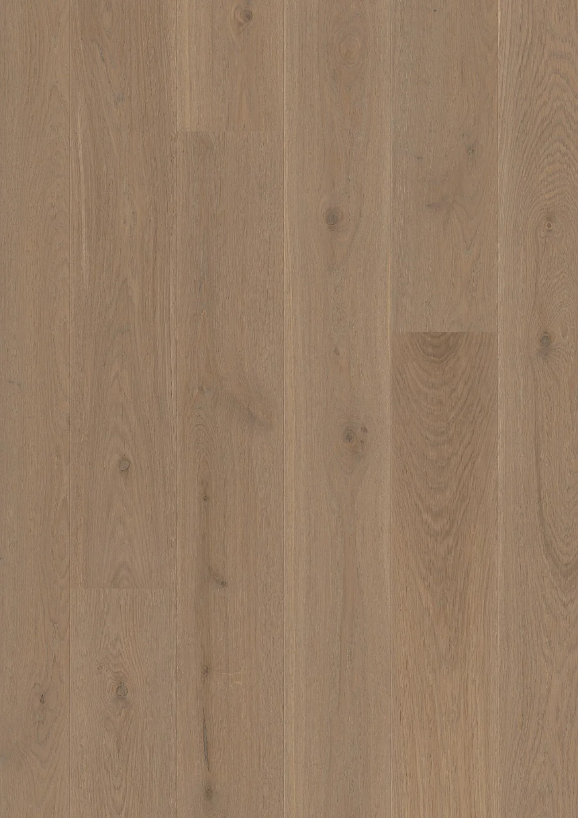 Oak Sand Animoso, 14mm Castle Plank