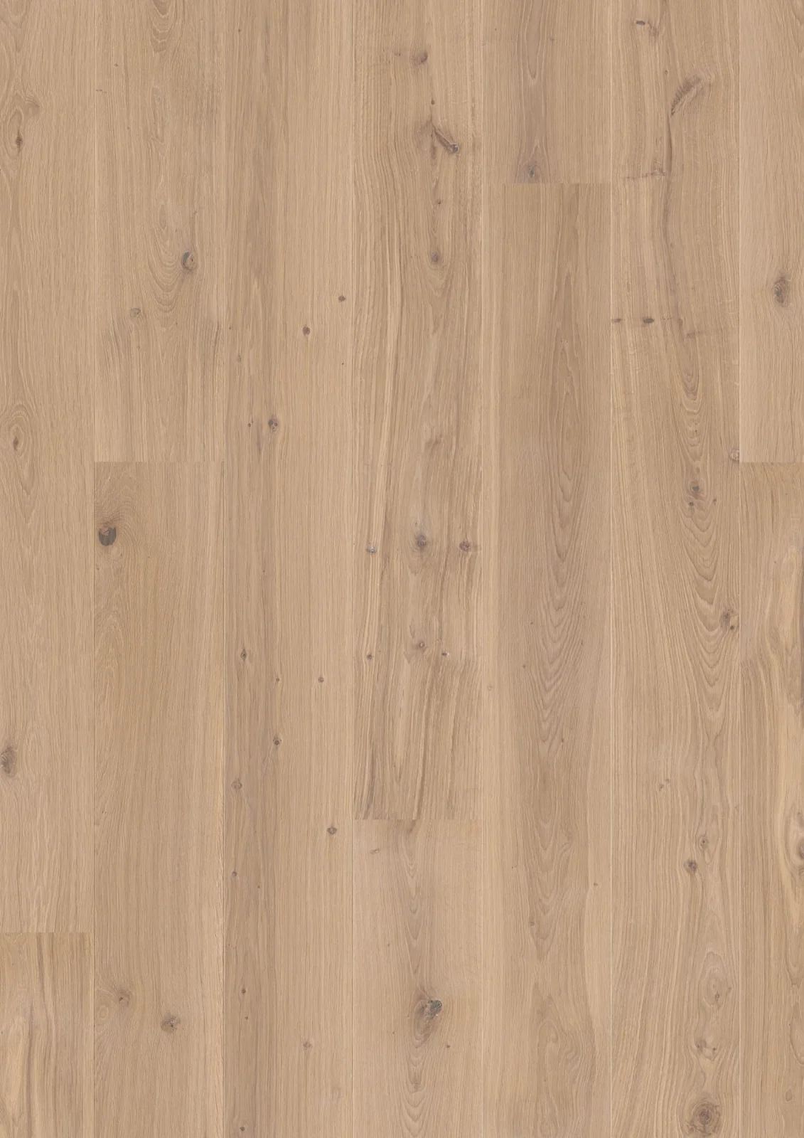 Oak White Animoso, 14mm Plank 181