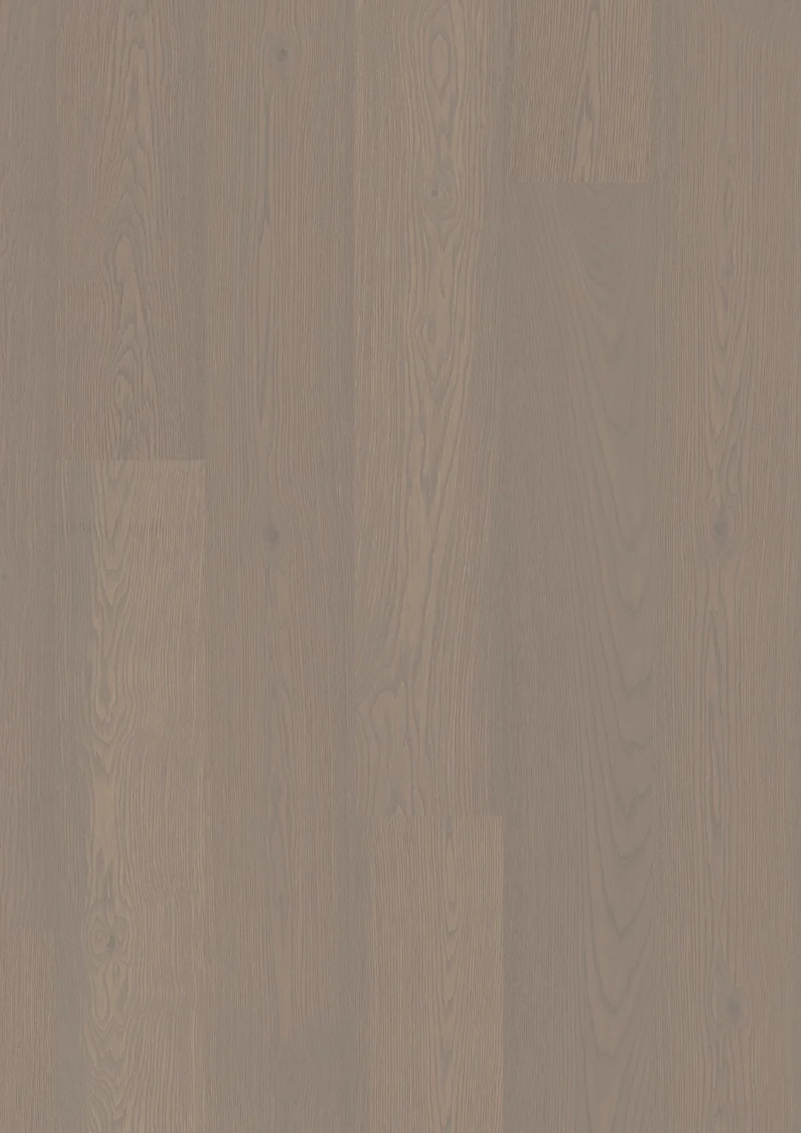 Oak Horizon Animoso, 14mm Castle Plank