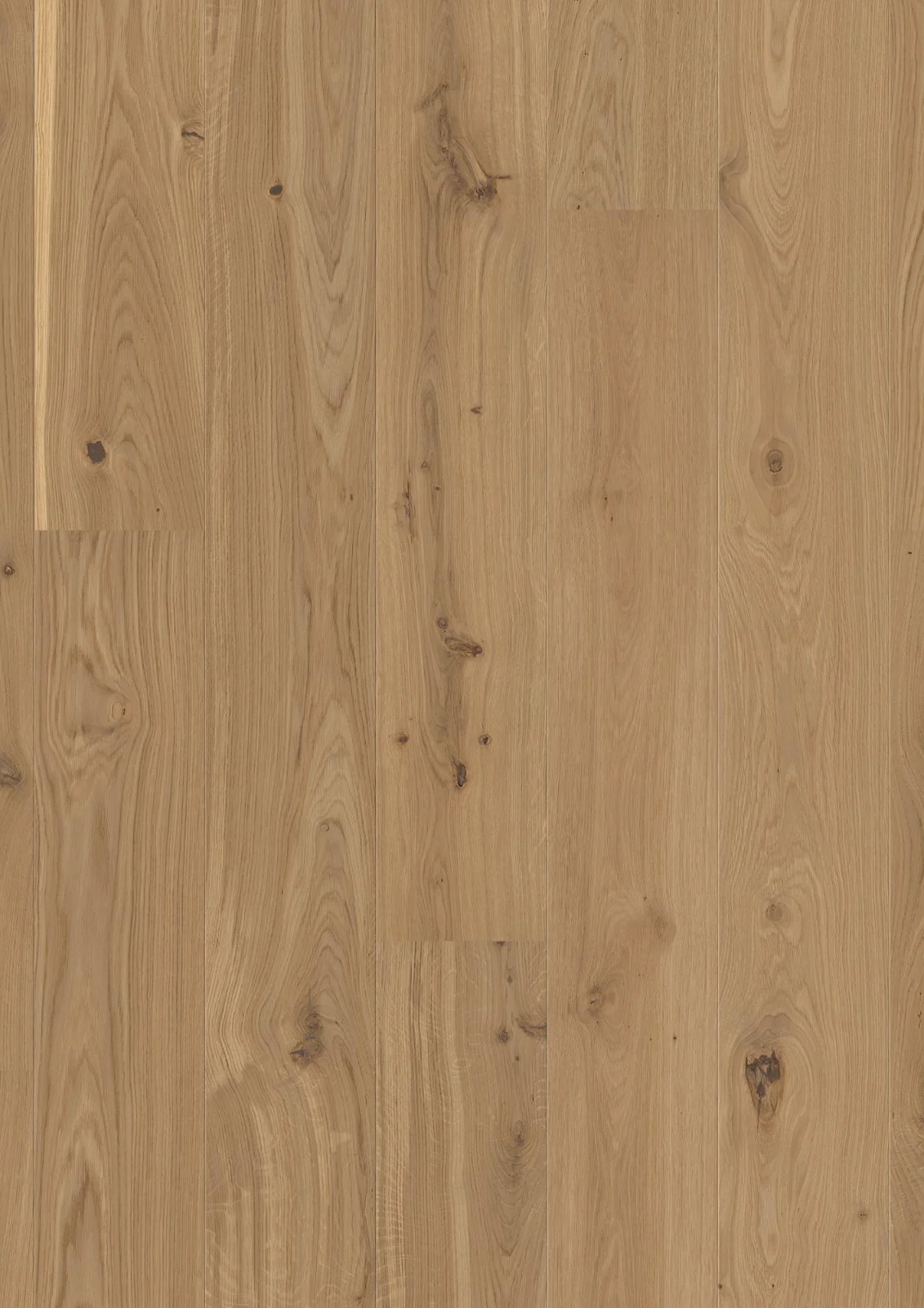 Oak Authentic Vivo, 14mm Castle Plank