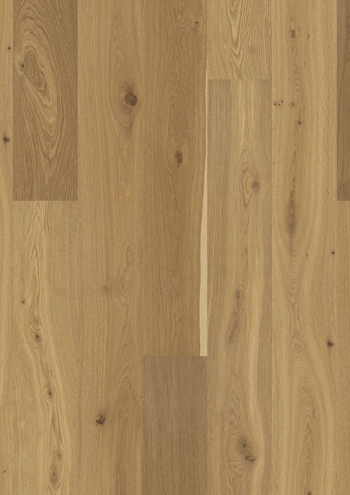 Oak Semi Smoked Animoso, Live Pure, 14mm Castle Plank