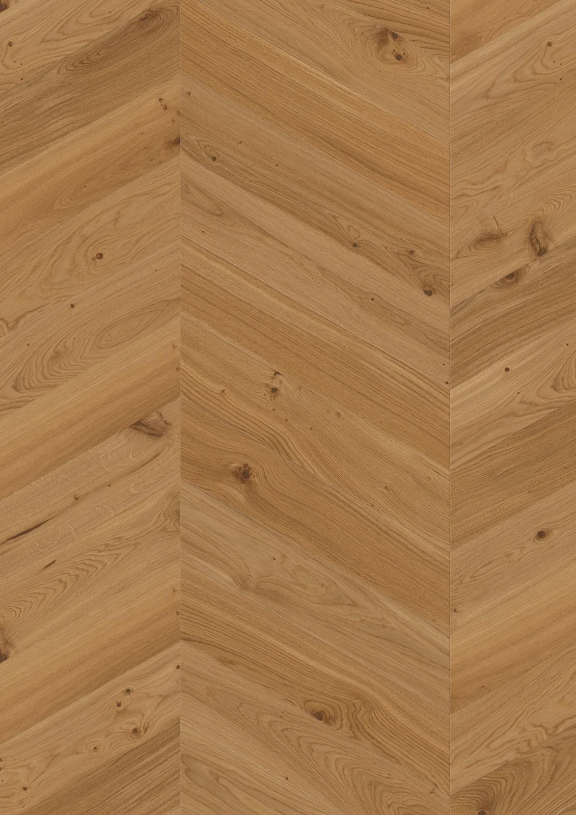 Oak Animoso, 14mm Chevron, B-Plank