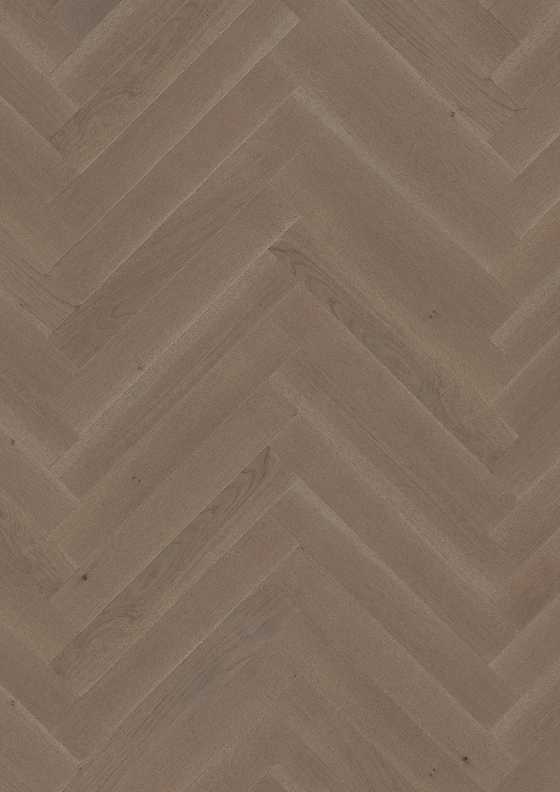 Oak Arizona Baltic, Prestige