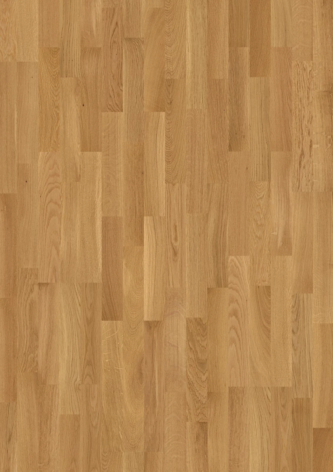 Oak Andante, 13.2mm 3-Strip