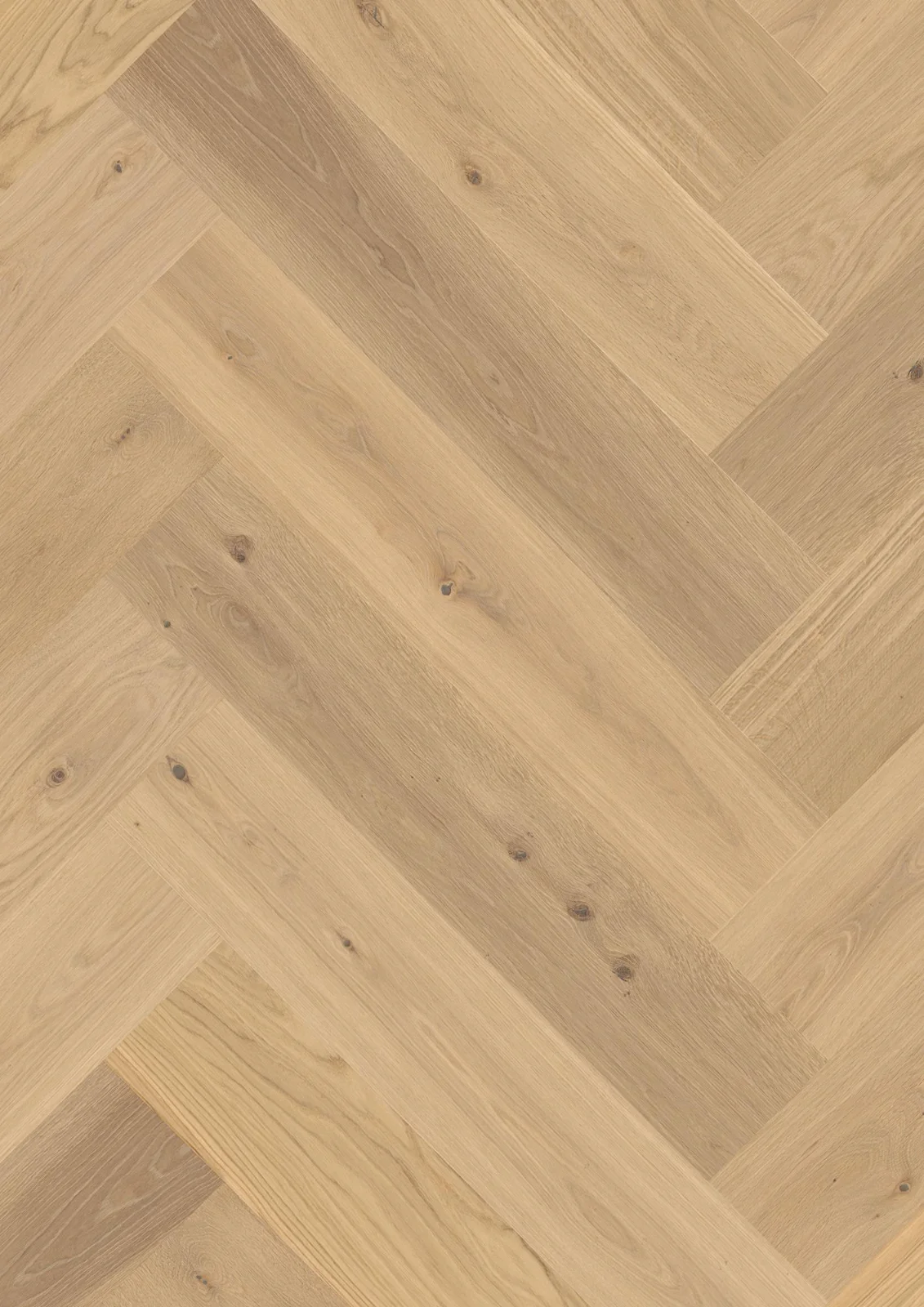 Oak Animoso, Live Pure, 14mm Herringbone Click Castle, A-Plank