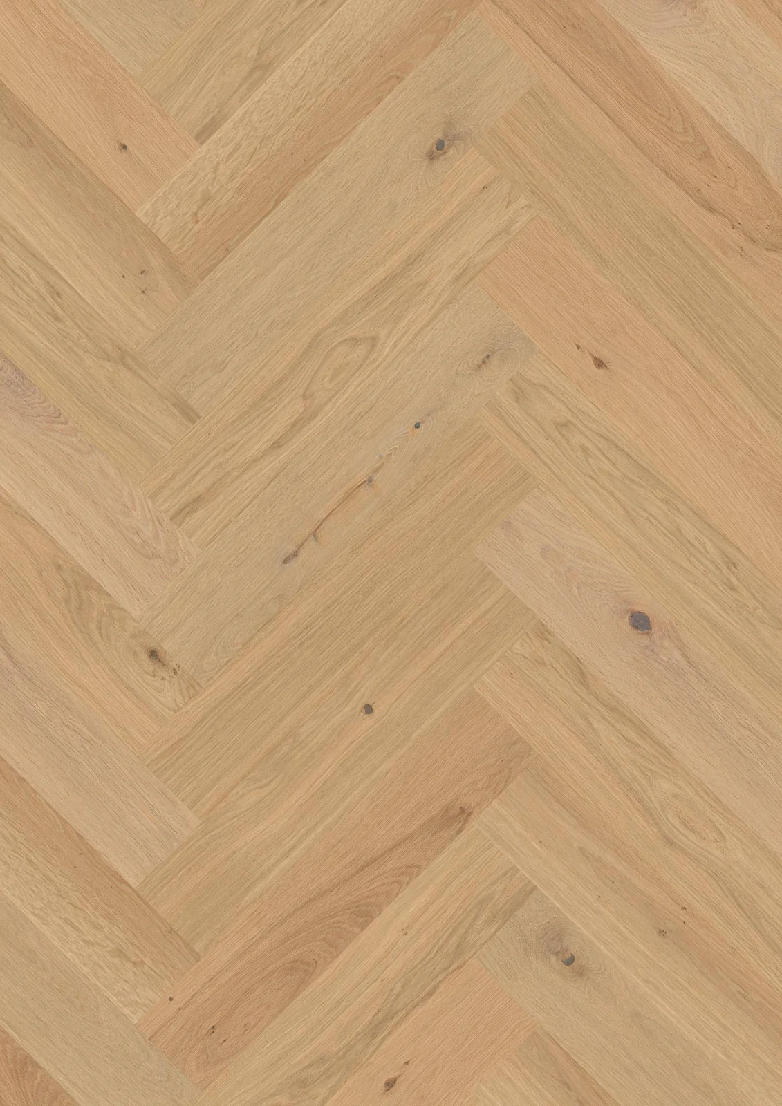 Oak Animoso, Live Pure, 14mm Herringbone Click 138, A-Plank