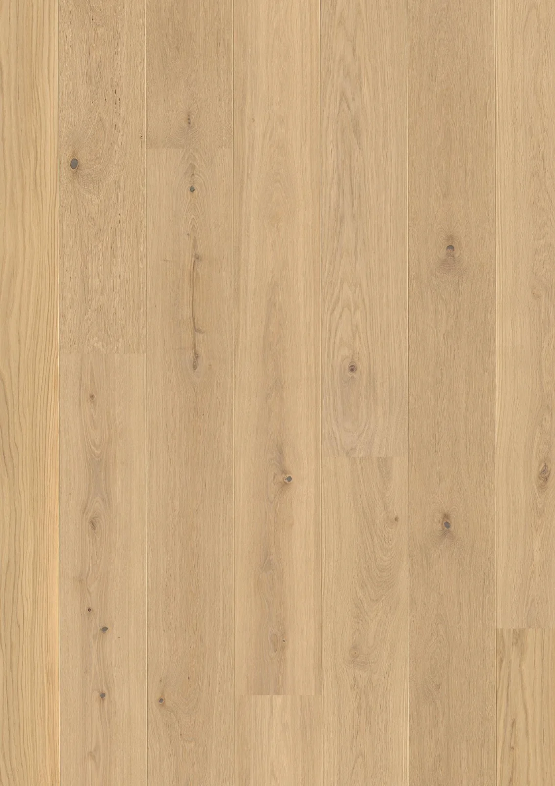 Oak Animoso, Live Pure, 14mm Castle Plank