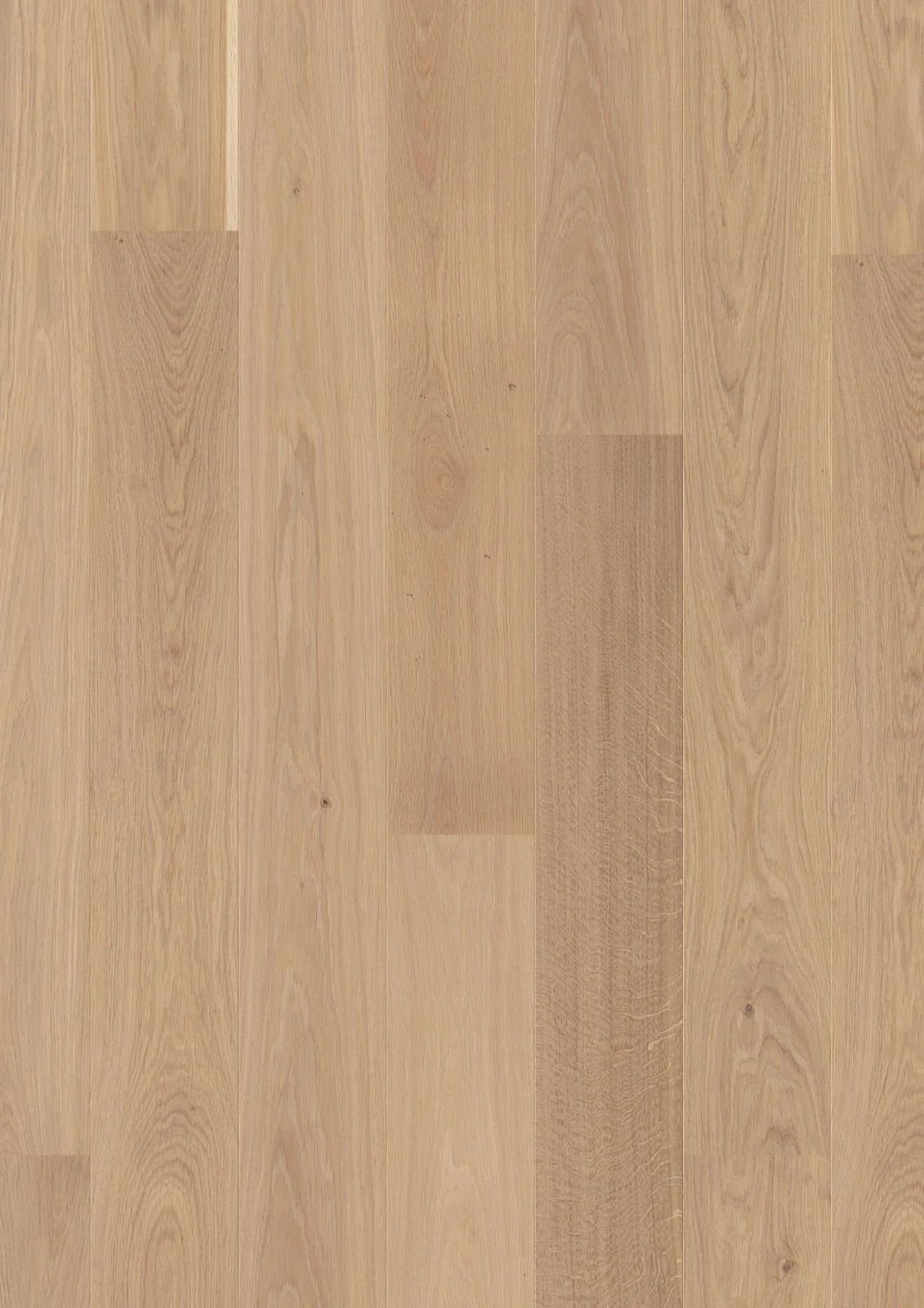 Oak Andante, Live Pure, 14mm Plank 181