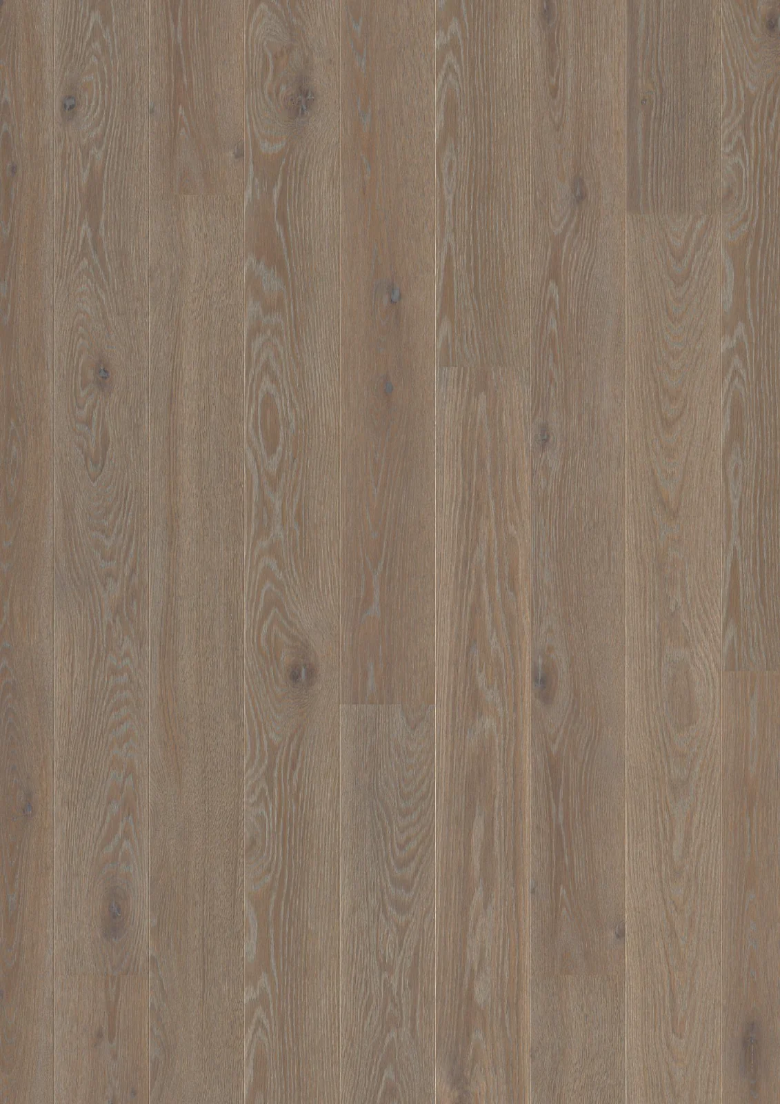 Oak India Grey Animoso, 14mm Plank 138