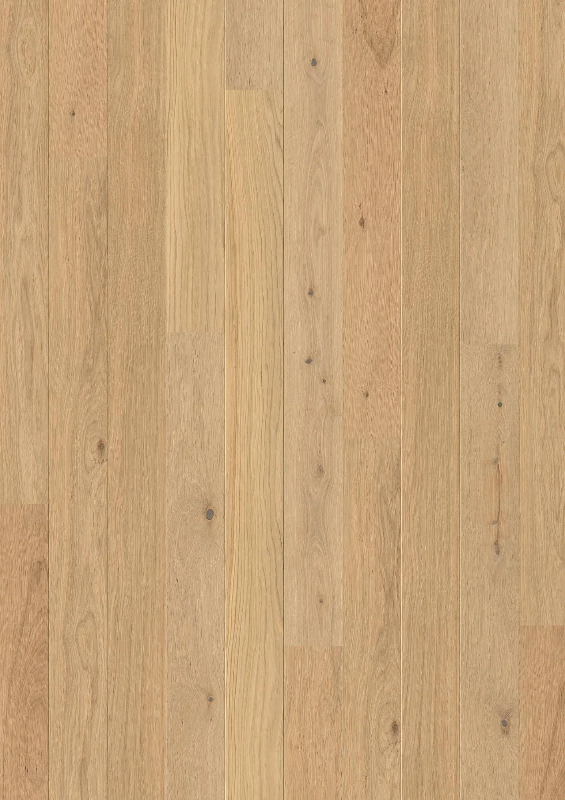 Oak Animoso, Live Pure, 14mm Plank 138